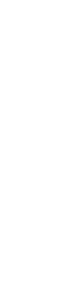 footer